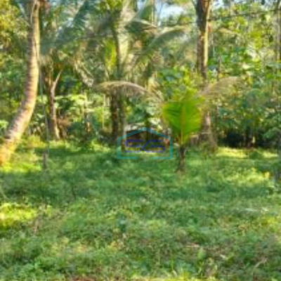 Dijual Tanah Di Purbalingga Jawa Tengah Luas Tanah  4420 m²