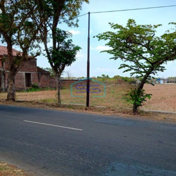 Dijual Tanah Akses Container Luas  5150 m² di Tasikmadu Karanganyar Jawa Tengah-1