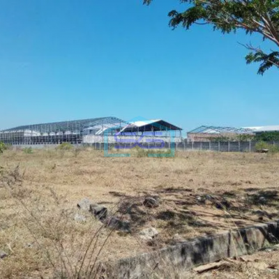 Dijual Tanah Kavling Gudang Industri di Pattene 20000 m²