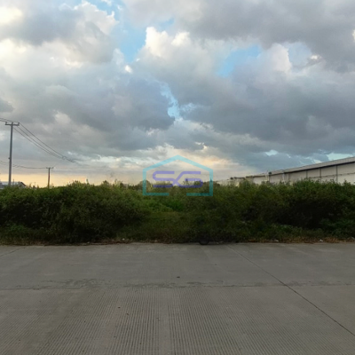 Disewakan Tanah Di Pattene Maros 10000M² Makassar SHM - Sertifikat Hak Milik