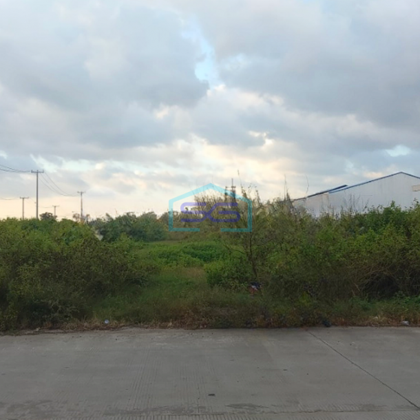 Disewakan Tanah Di Pattene Maros 10000M² Makassar SHM - Sertifikat Hak Milik-3
