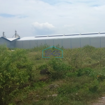 Dijual Tanah Kavling Gudang di Makassar Bisa Untuk Gudang LT 1000m2