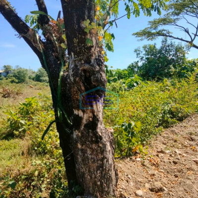 Dijual Tanah Industri 1 hectare di Pattene, SHM Makassar Siap Bangun