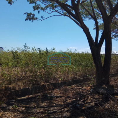 Dijual Tanah Industri 1 hectare di Pattene, SHM Makassar Siap Bangun