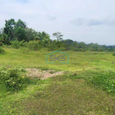 Dijual Tanah Lokasi Strategis di Batealit Jepara Luas 3645 m²-2