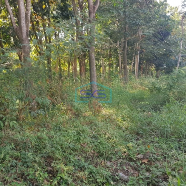 Dijual Tanah Luas 28270 m² Lokasi Strategis di Gringsing Batang Jawa Tengah-1