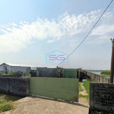 Dijual Tanah Lokasi Strategis Luas 4874 m² di Sayung Demak Jawa Tengah-2