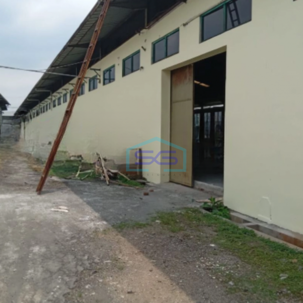 Disewakan Gudang Lokasi Bebas Banjir luas Banguann 7291 m² di Buaran Pekalongan-2