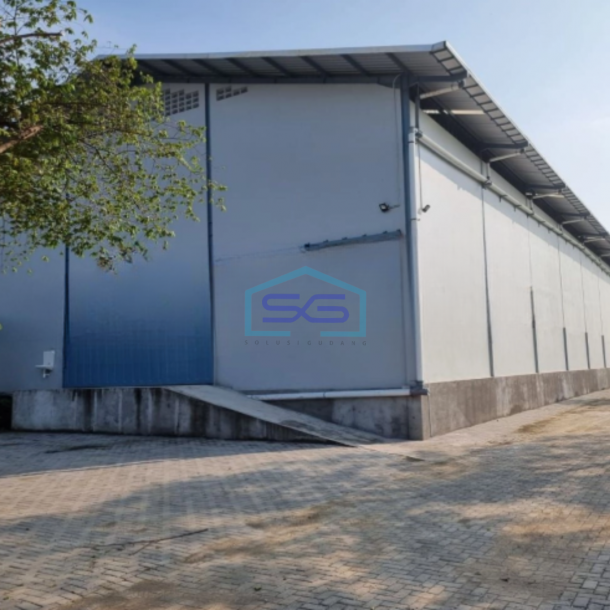 Disewakan Gudang Ada Loading Dock Luas Tanah 1500 m² Lokasi Semarang-1