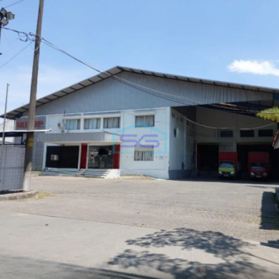 Disewakan Gudang Bagus Siap Pakai Di Majapahit Semarang Timur Luas Bangunan 3000m2