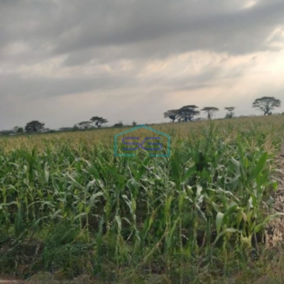 Dijual Tanah Lokasi Strategis SHM Luas 16500m² di Ciledug Cirebon