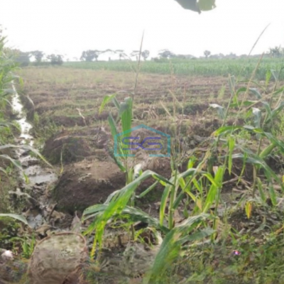 Dijual Tanah Lokasi Strategis SHM Luas 16500m² di Ciledug Cirebon