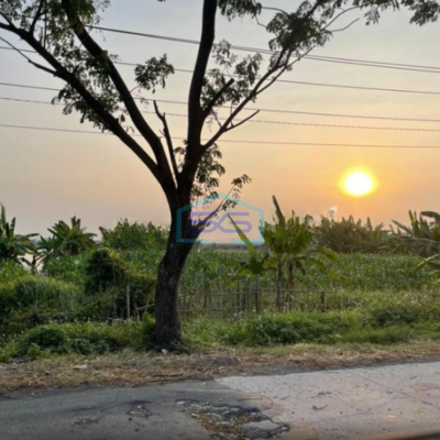 Dijual Tanah industri Murah dan Strategis Akses Kontainer Sayung Demak Jawa Tengah  LT 13897m2