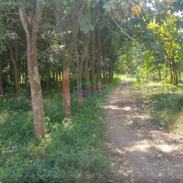 Dijual Murah Tanah Siap Bangun Zona Industri Jalan Sudah Cor DIi Batang Jawa Tengah LT 28270m2-2