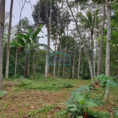 Dijual Tanah di Tengah Kota Salatiga Luas 2536 m²-2