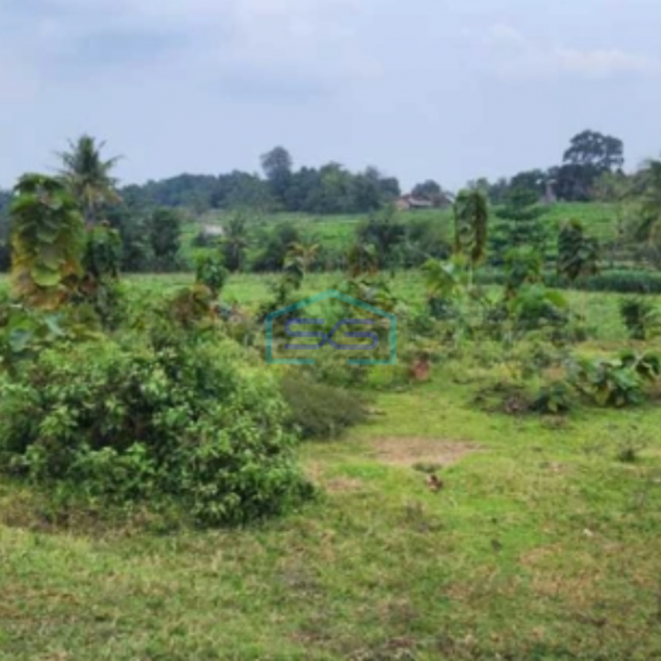 Dijual Tanah Strategis SHM Luas 3645m² di Daerah Batealit Jepara Jawa Tengah-2