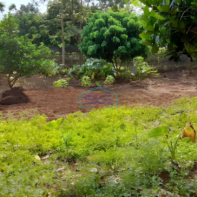 Dijual Tanah Siap Bangun Shm Luas 1480m² Di Gondoriyo Ngaliyan Semarang Barat