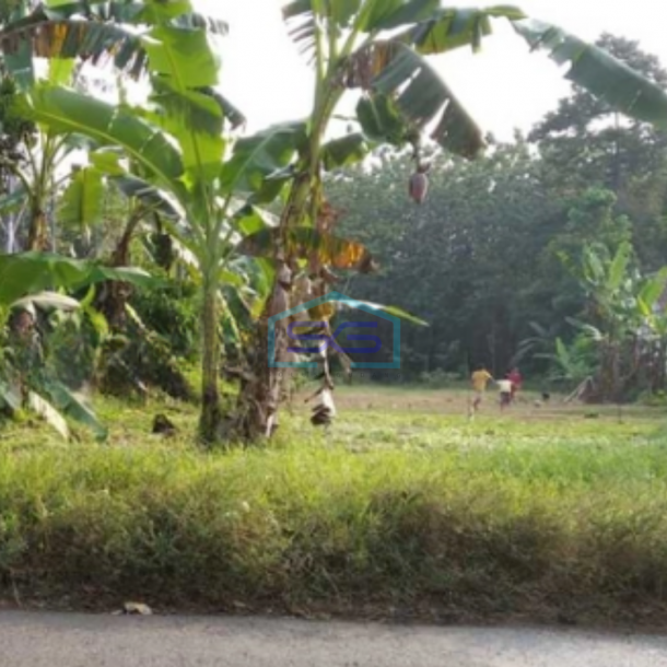 Dijual Tanah Strategis Siap Bangun di Jalan Raya Muntal Boja Kaliwungu Semarang LT 1278m2-2