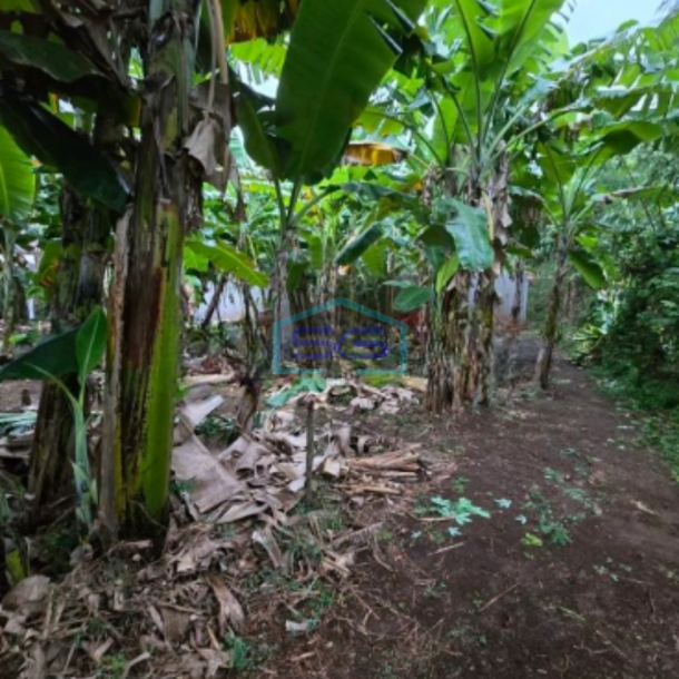 Dijual Tanah Siap Bangun Shm Luas 519m² Di Pinggir Jalan Beruang Raya Gayamsari Semarang-2