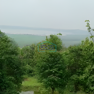 Dijual Tanah Pegunungan Shm Di Jl Raya Banyubiru Semarang LT 40300m²-3