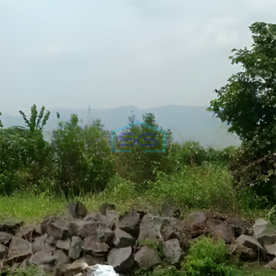 Dijual Tanah Pegunungan Shm Di Jl Raya Banyubiru Semarang LT 40300m²-2