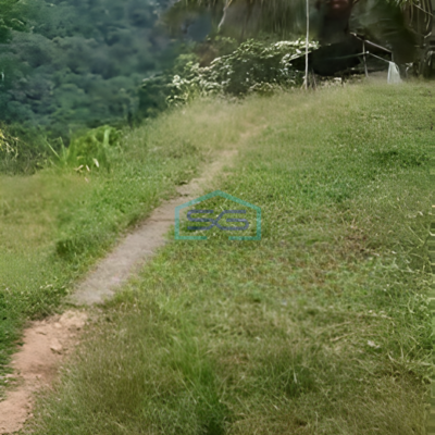 Dijual Tanah Pegunungan Shm Di Jl Raya Banyubiru Semarang LT 40300m²