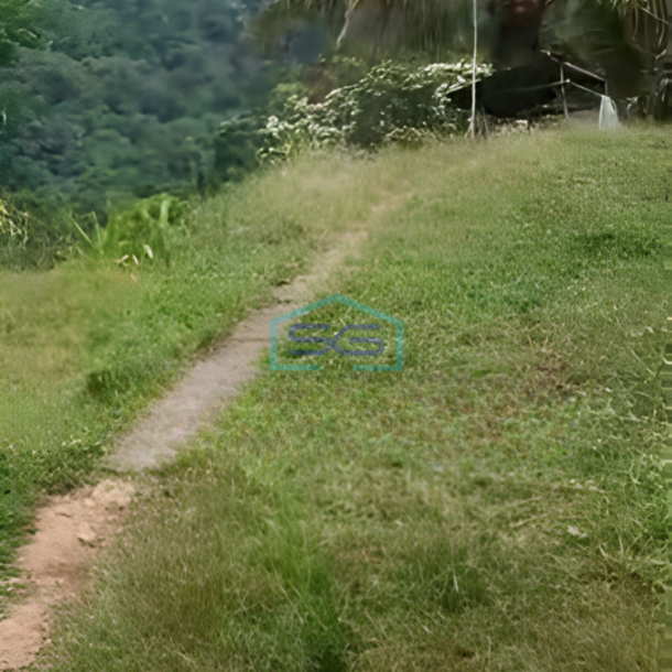 Dijual Tanah Pegunungan Shm Di Jl Raya Banyubiru Semarang LT 40300m²-1