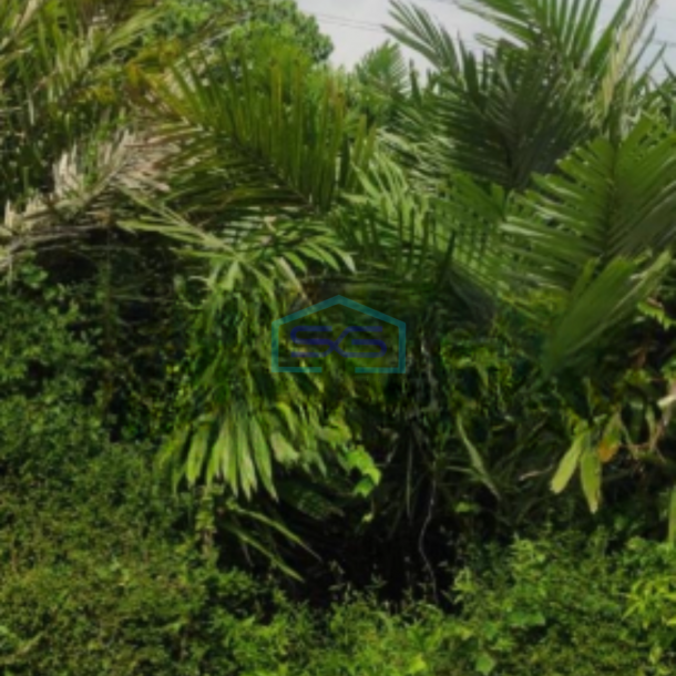 Dijual Tanah Lokasi Strategis di Pringsurat Temanggung Luas 4035 m²-2