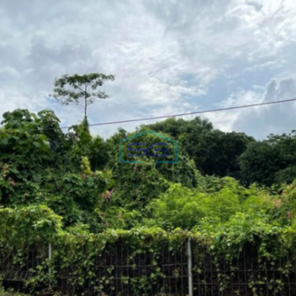 Disewakan Tanah Strategis di Jangli Raya Lebar 40 Meter Semarang LT 2700m2-3