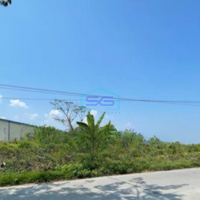 Dijual Tanah Lokasi Strategis di Sayung Demak Jawa Tengah Luas 5372 m²