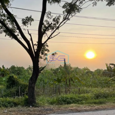 Dijual Tanah Murah Lokasi Strategis di Sayung Demak Jawa Tengah