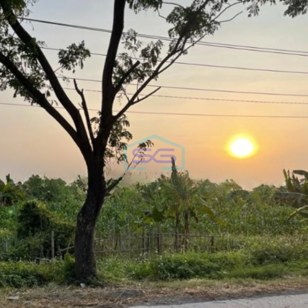 Dijual Tanah Murah Lokasi Strategis di Sayung Demak Jawa Tengah-1