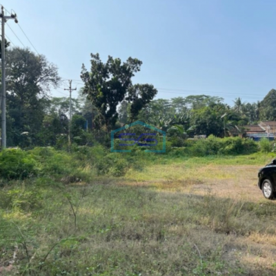 Dijual Tanah Lokasi Pinggir Jalan Raya Luas 5513 m²  di Banyuputih Batang Jawa Tengah