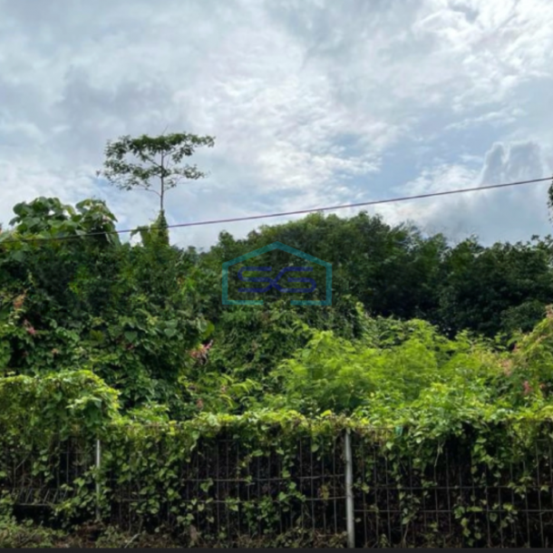 Disewakan Tanah Lokasi Strategis di Jangil Semarang-1