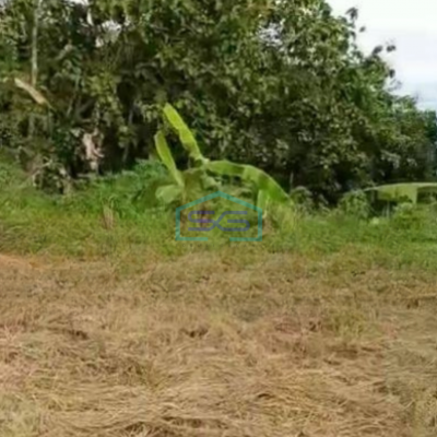 Dijual Tanah Lokasi Bagus di Cisauk Tangerang Luas Tanah 4000 m²-2