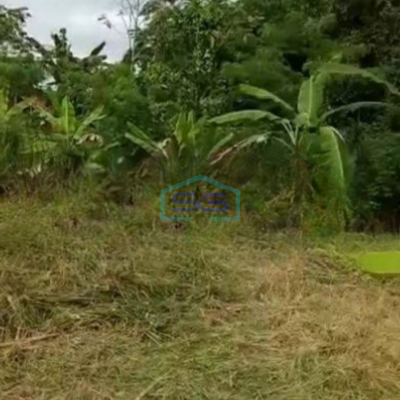 Dijual Tanah Lokasi Bagus di Cisauk Tangerang Luas Tanah 4000 m²