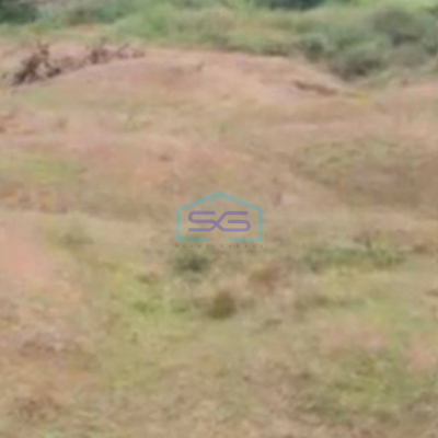 Dijual Tanah di Jl. Raya Rancaiyuh , Legok  Tangerang Luas Tanah 5000 m²