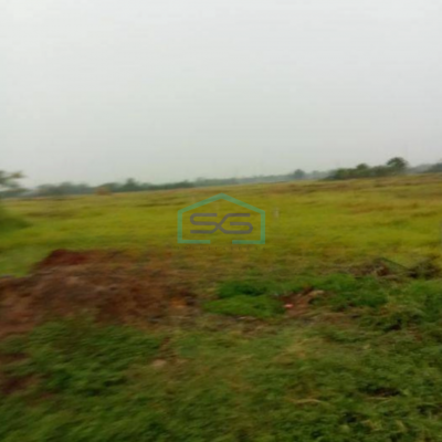 Dijual Tanah di Kec Sindang Jaya Pasar Kemis Tangerang Luas Tanah 6000 m²