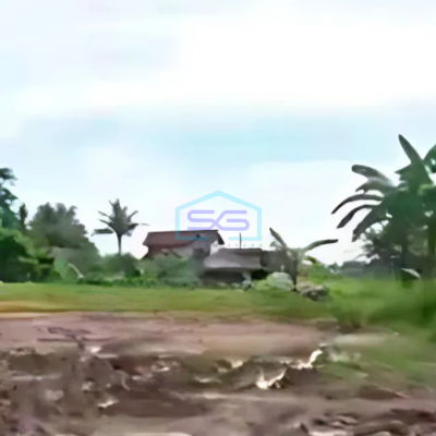 Dijual Tanah Cocok Untuk Pabrik dan Gudang Luas Tanah  140000 m² di Kibin Serang