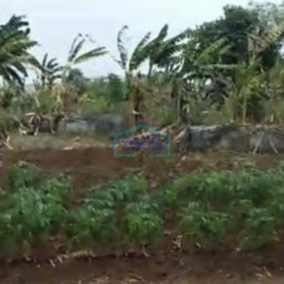 Dijual Tanah di Ds. Kuta Jaya, Pasar Kemis Tangerang Banten