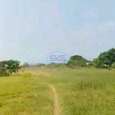 Dijual Tanah di Cikupa Tangerang Luas Tanah 55000 m²