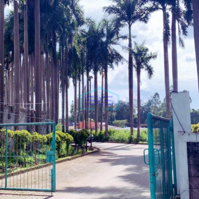 Dijual Tanah Kavling Luas 4000m2 Kawasan Industri Pasar Kemis Cikupa Tangerang-3