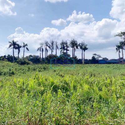 Dijual Tanah Kavling Luas 4000m2 Kawasan Industri Pasar Kemis Cikupa Tangerang