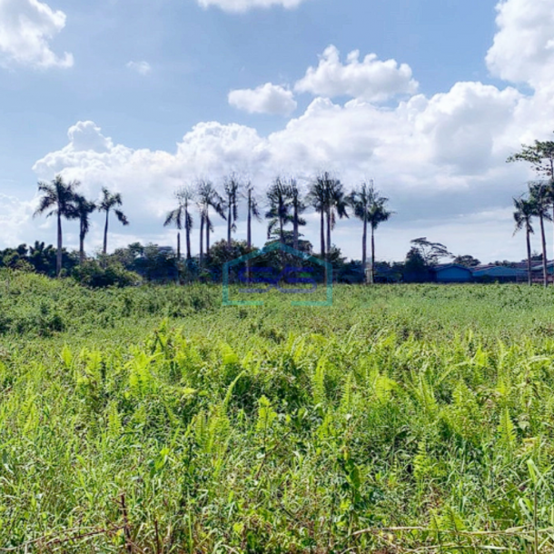 Dijual Tanah Kavling Luas 4000m2 Kawasan Industri Pasar Kemis Cikupa Tangerang-1