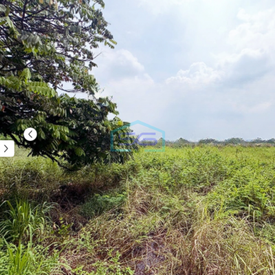 Dijual Kavling Tanah Luas 5900m2 di Jl Raya Nigrat Legok Manungtung Tangerang-3