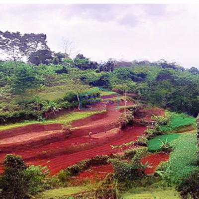 Dijual Termurah Kavling Tanah Luas 12 Ha Bogor Selatan Jl Cogreg Nangka