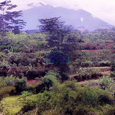 Dijual Termurah Kavling Tanah Lokasi di Bogor Selatan Jl Bojong Margasri LT 31 Ha