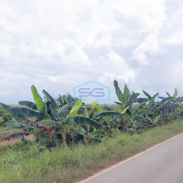 Dijual Kavling Tanah Industri Luas Tanah 20 Ha Sumatera Selatan-2