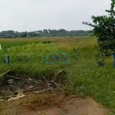 Dijual Tanah Kavling Industri Telukjambe Barat Karawang LT 33814m2 Bisa Untuk Pabrik Gudang