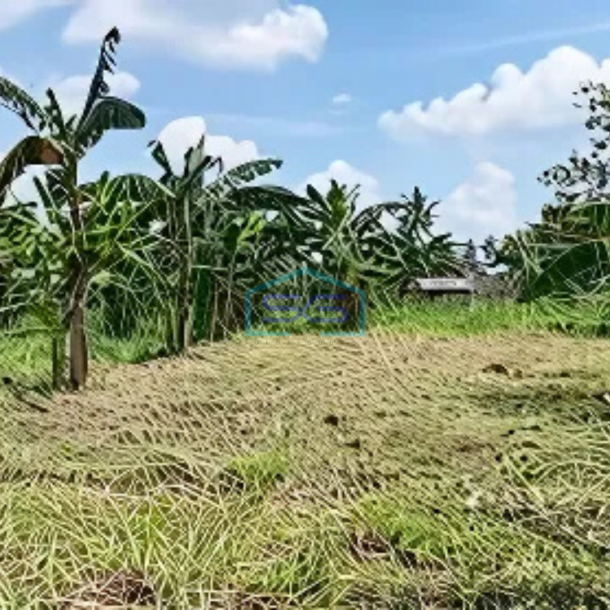 Dijual Tanah Jl Kota Gondok Luas 55000m2 di Kec Cijangkar Nyalindung Sukabumi Njop-1